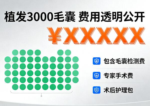 碧莲盛植发3000毛囊费用全解析:2026年最新价格与避坑指南