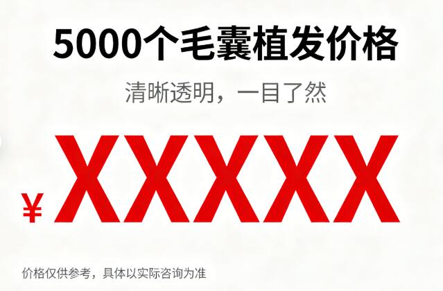 5000个毛囊植发价格揭秘：三大核心因素决定最终费用