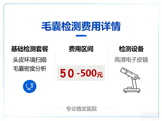 毛囊检测费用全解析:一文读懂价格差异与选择指南
