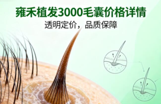 雍禾植发3000个毛囊多少钱?答案揭秘与深度解析