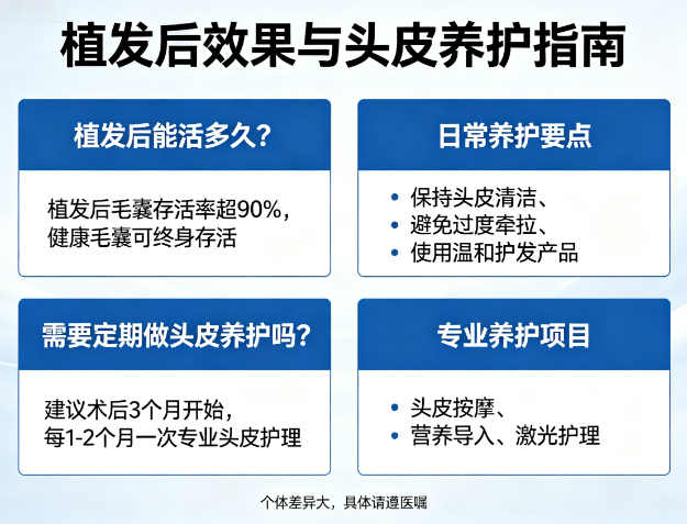 植发后能活多久？需要定期做头皮养护吗？