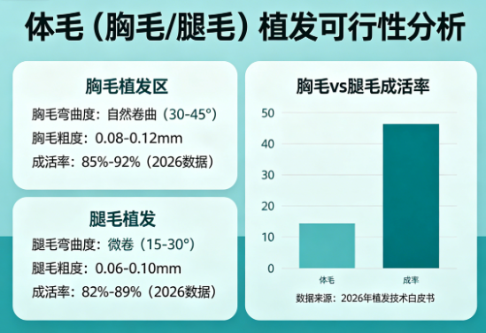 体毛（胸毛/腿毛）植发可行吗？弯曲度与粗度的成活率数据2026