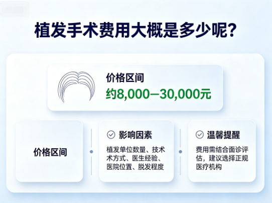 植发手术费用大概是多少