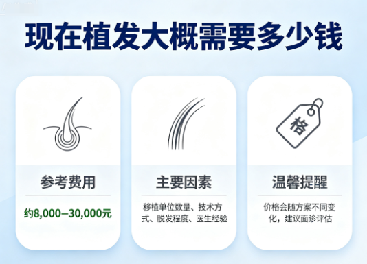 现在植发大概需要多少钱